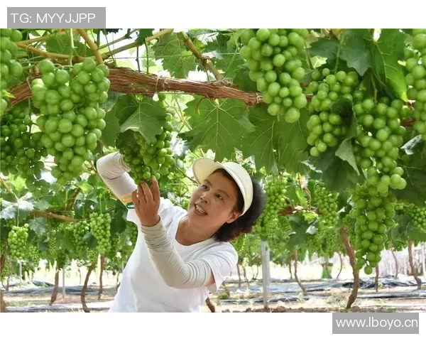 亲身体验果园采摘乐趣，探索秋日丰收的自然之美