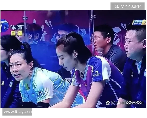 杭州排球队实力引发热议球迷观点各异引发讨论